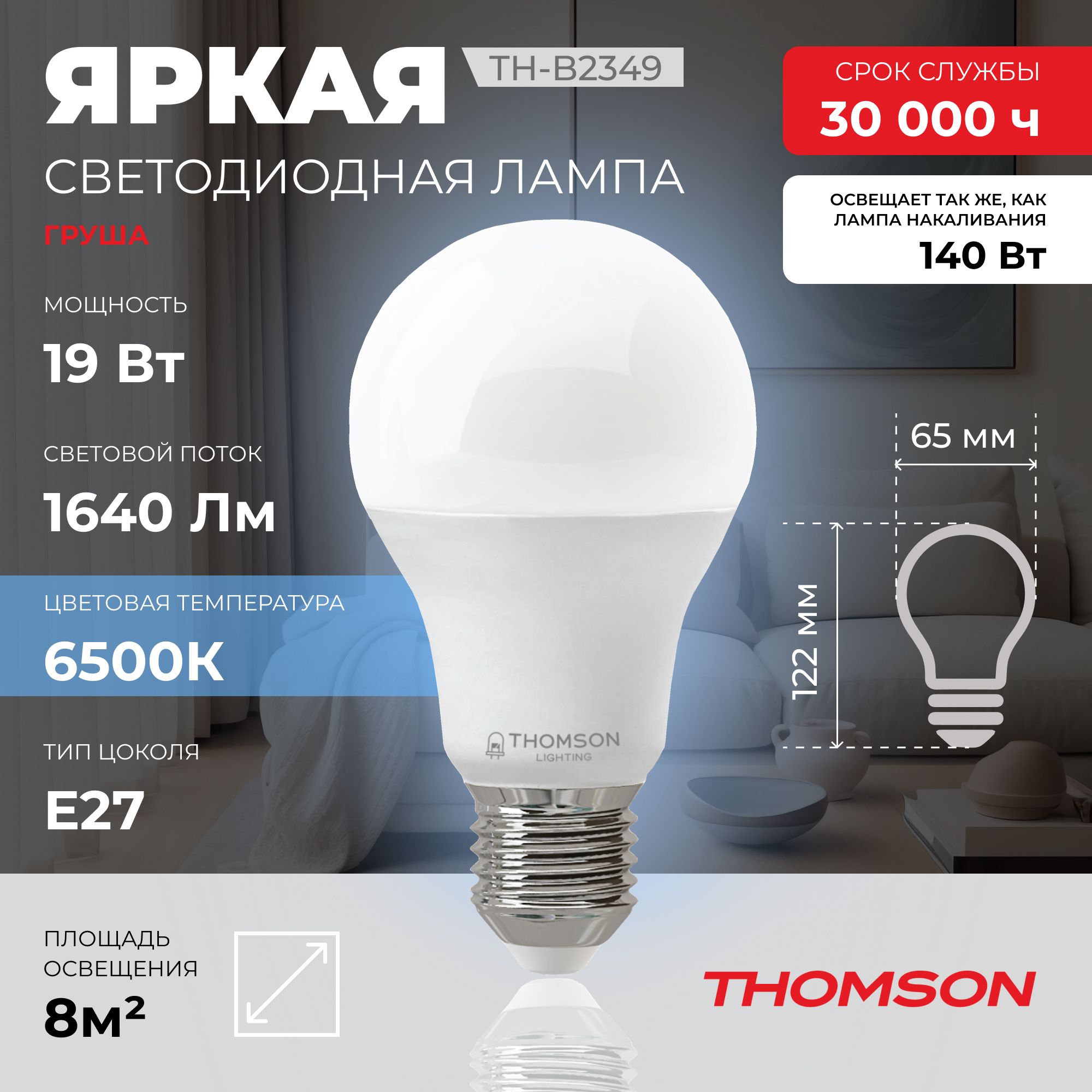 Лампа светодиодная Thomson E27 19W 6500K груша матовая TH-B2349