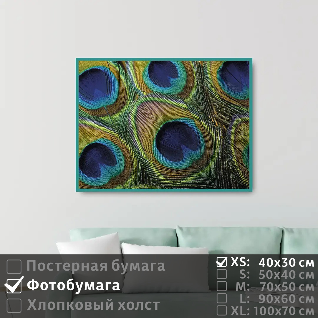 

Постер на фотобумаге ПолиЦентр Перья павлина 40х30 см, ПерьяПавлина