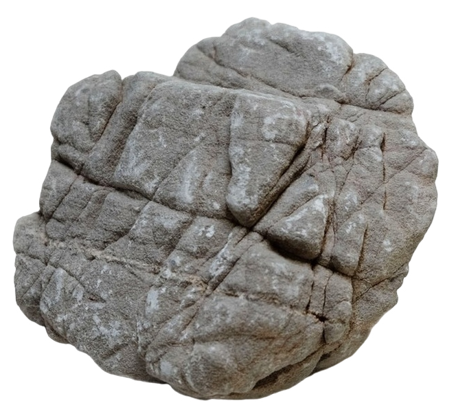 

UDeco Elephant Stone S - Натуральный камень "Слон" для аквариумов и террариумов