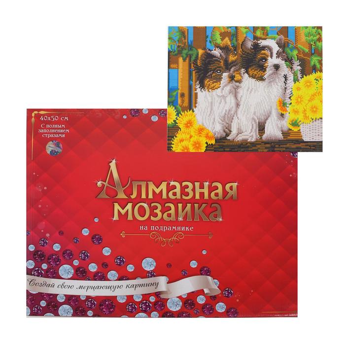 

Алмазная мозаика классическая 40х50 см, с подрамником, с полным заполнением «Маленькие йор