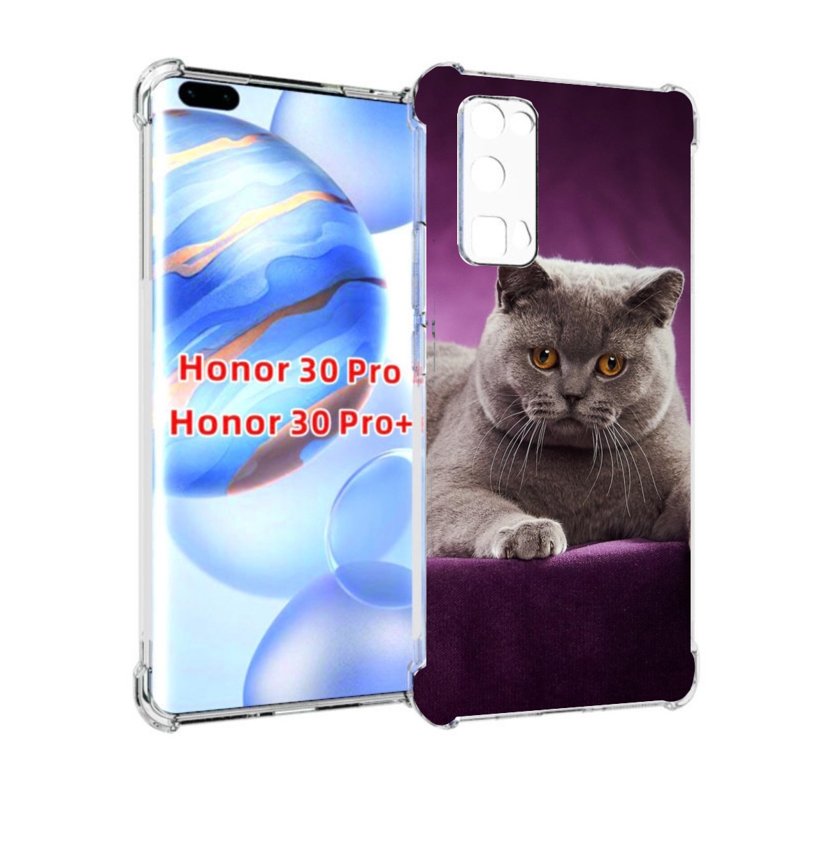 Чехол бампер MyPads кошка британская короткая для Honor 3