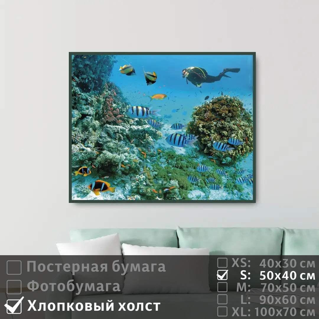 

Постер на холсте ПолиЦентр Морские рыбы под водой с дайвером 50х40 см, МорскиеРыбыПодВодойСДайвером