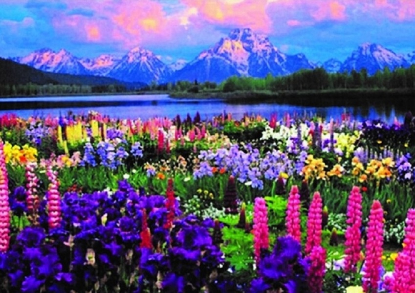 

Алмазная мозаика DVEKARTINKI HWB Поляна цветущих люпинов у озера 30x40, подрамник, Поляна цветущих люпинов у озера