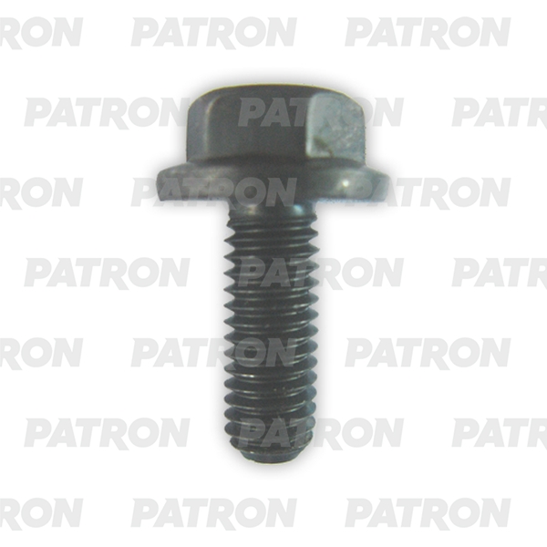 

PATRON P37-3028T Болт металлический универсальный черный M12X25 10шт