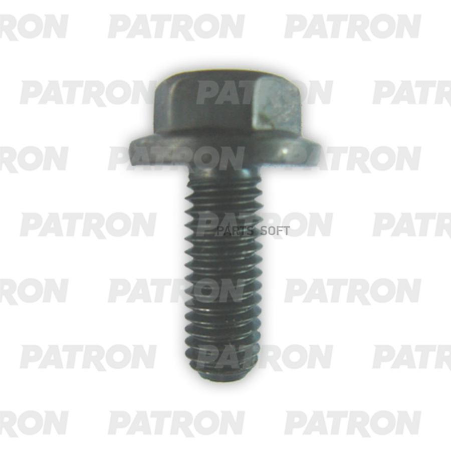 PATRON P37-3029T Болт металлический универсальный черный M10X40  10шт