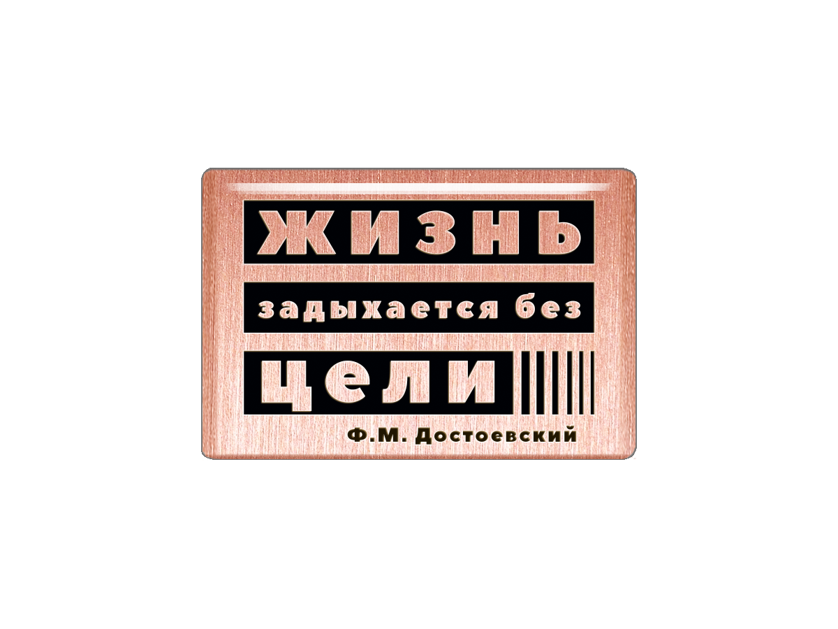 

Магнит Жизнь задыхается без цели Ф.М. Достоевский, Т18.164.01.02