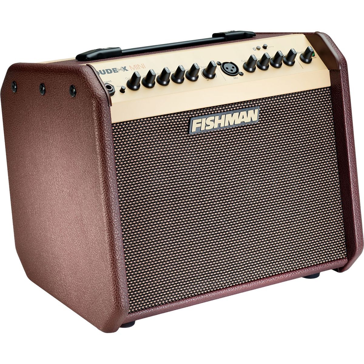

Fishman PRO-LBT-EU5 LoudBox Mini Bluetooth