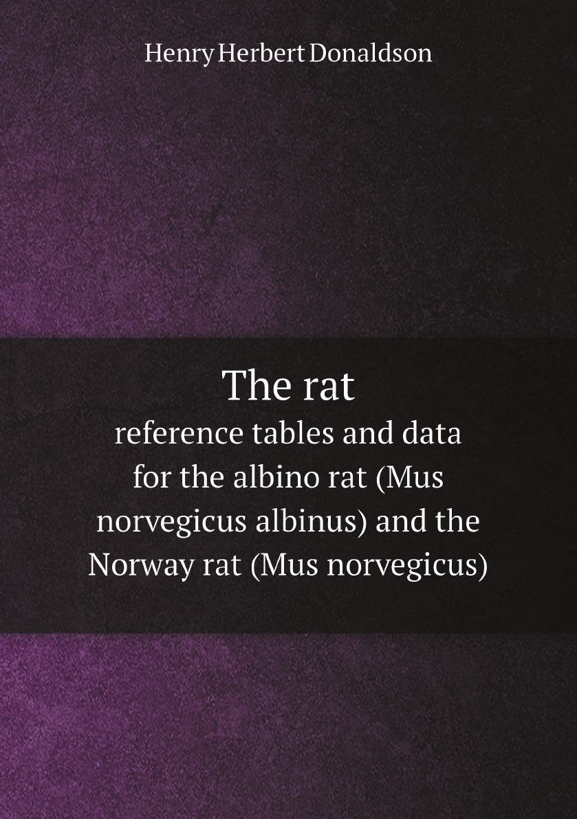 

The rat