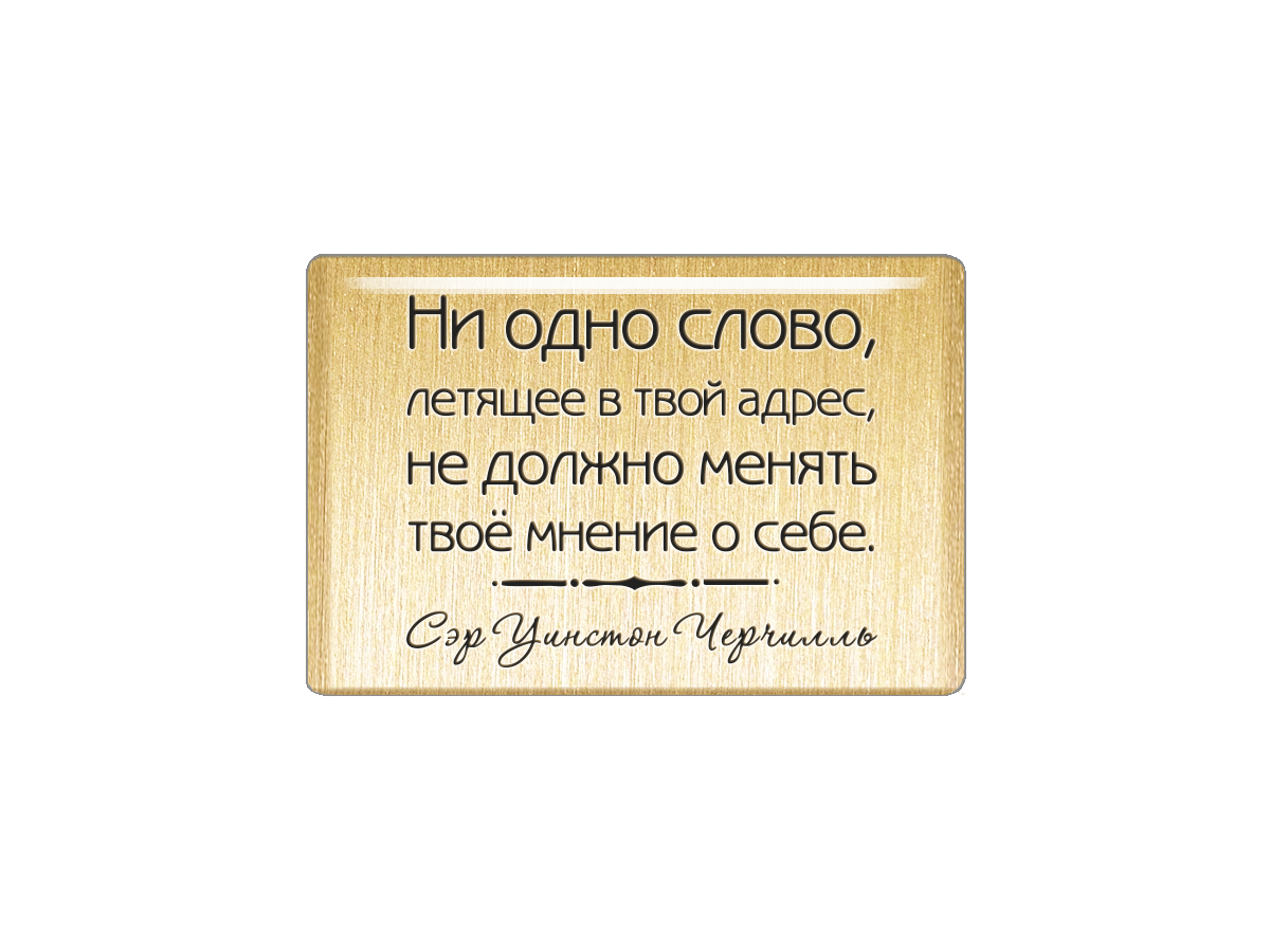 

Магнит Ни одно слово, летящее в твой адрес, не должно менять твоё мнение о себе. Сэр Уин, Т18.208.02.00