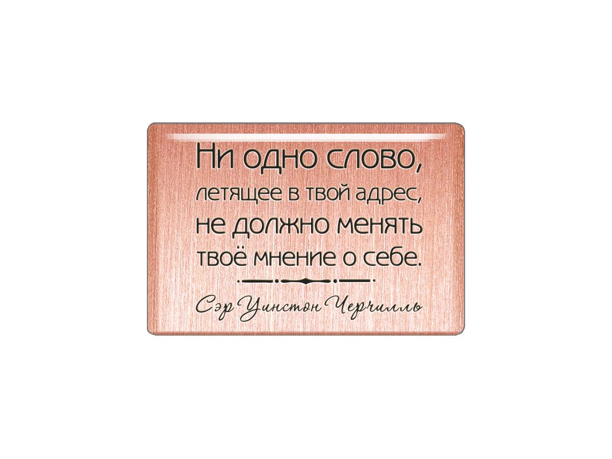 

Магнит Ни одно слово, летящее в твой адрес, не должно менять твоё мнение о себе. Сэр Уин, Т18.208.01.00