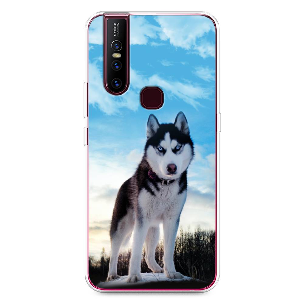 

Чехол Awog на Vivo V15 "Хаски 3", Разноцветный, 261050-2