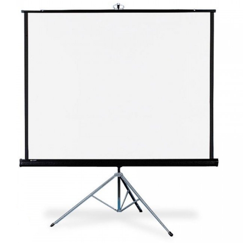 

Draper Diplomat AV (1:1) 60/60" 152x152 MW (мобильный)