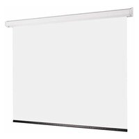 

Draper Targa HDTV (9:16) 302/119" 147x264 MW ebd 30" case