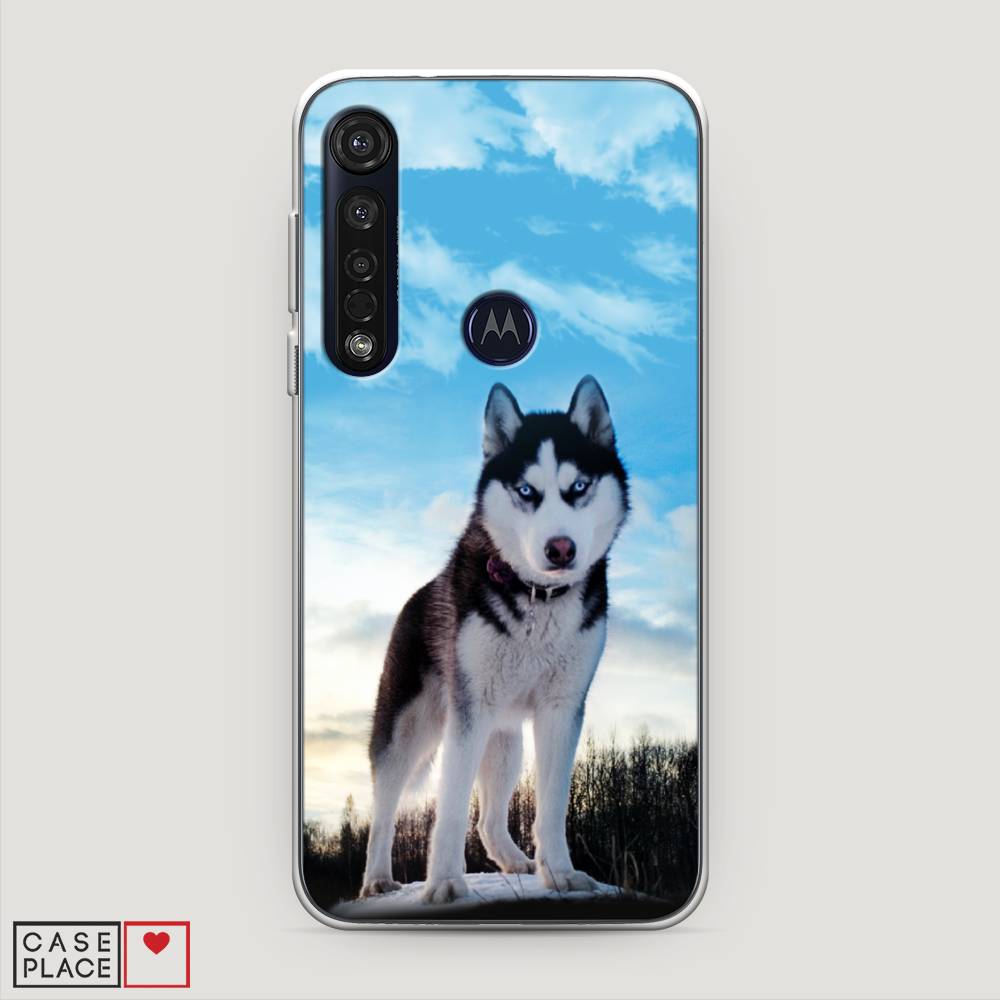 

Чехол Awog на Motorola Moto G8 Plus "Хаски 3", Разноцветный, 241450-2