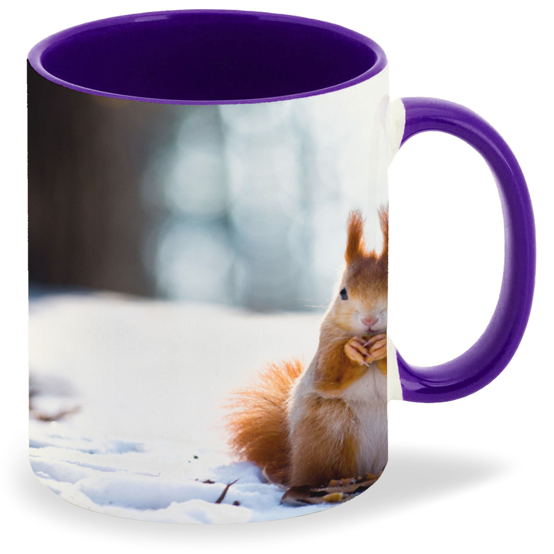 

Кружка CoolPodarok Белка на снежном фоне, Белка на снежном фоне