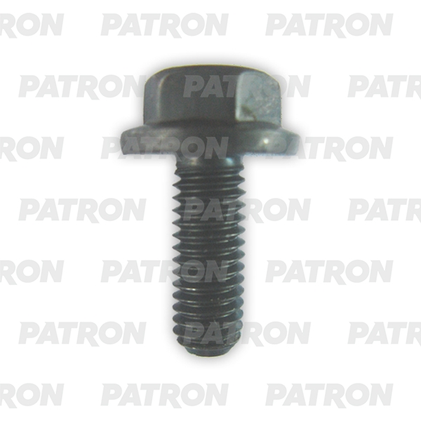 PATRON P37-2600T Болт металлический черный универсальный M8X25  10шт