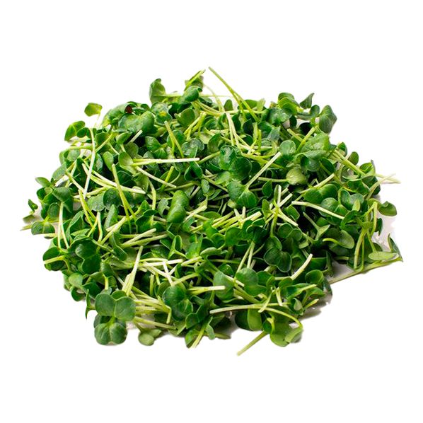 Микрозелень редиса Little Green Кресс Дайкон 40 г
