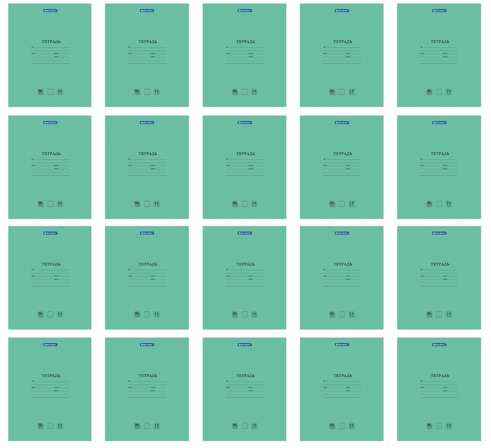 

Набор тетрадей BRAUBERG 105709 - 20 шт.