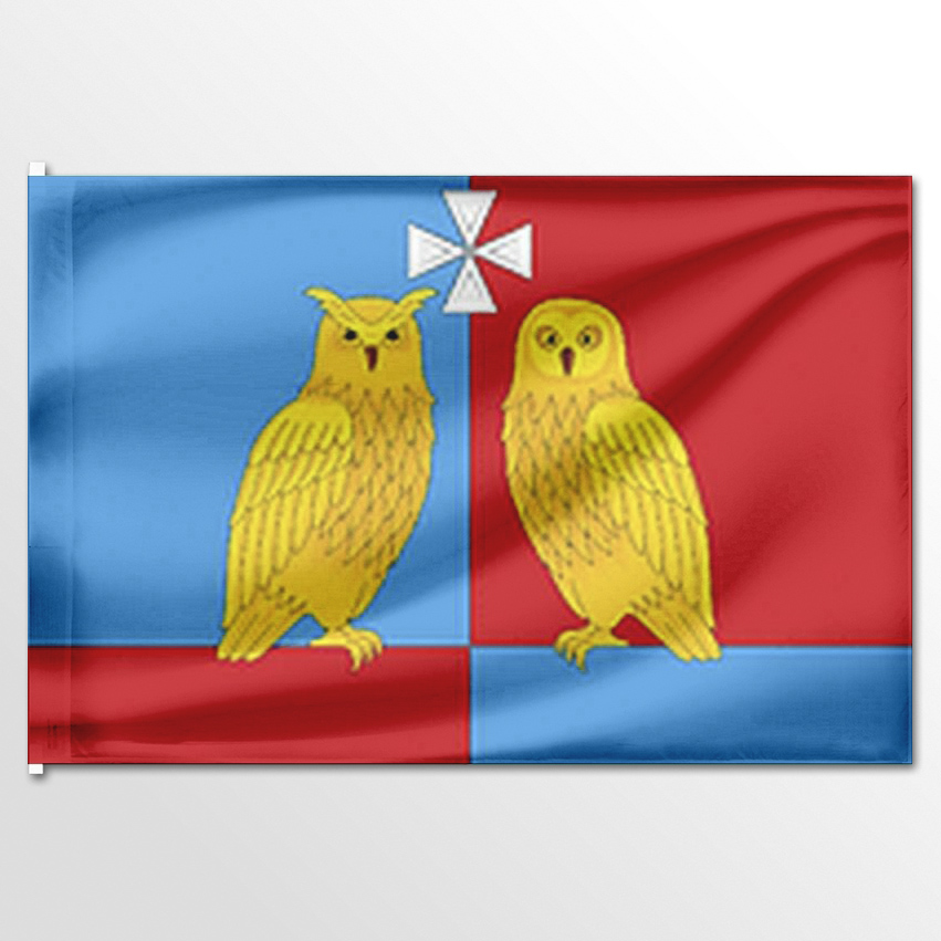 

Флаг ЦТП ФЕНИКС Филисовского сельского поселениея 135x90 см, 7293-135x90