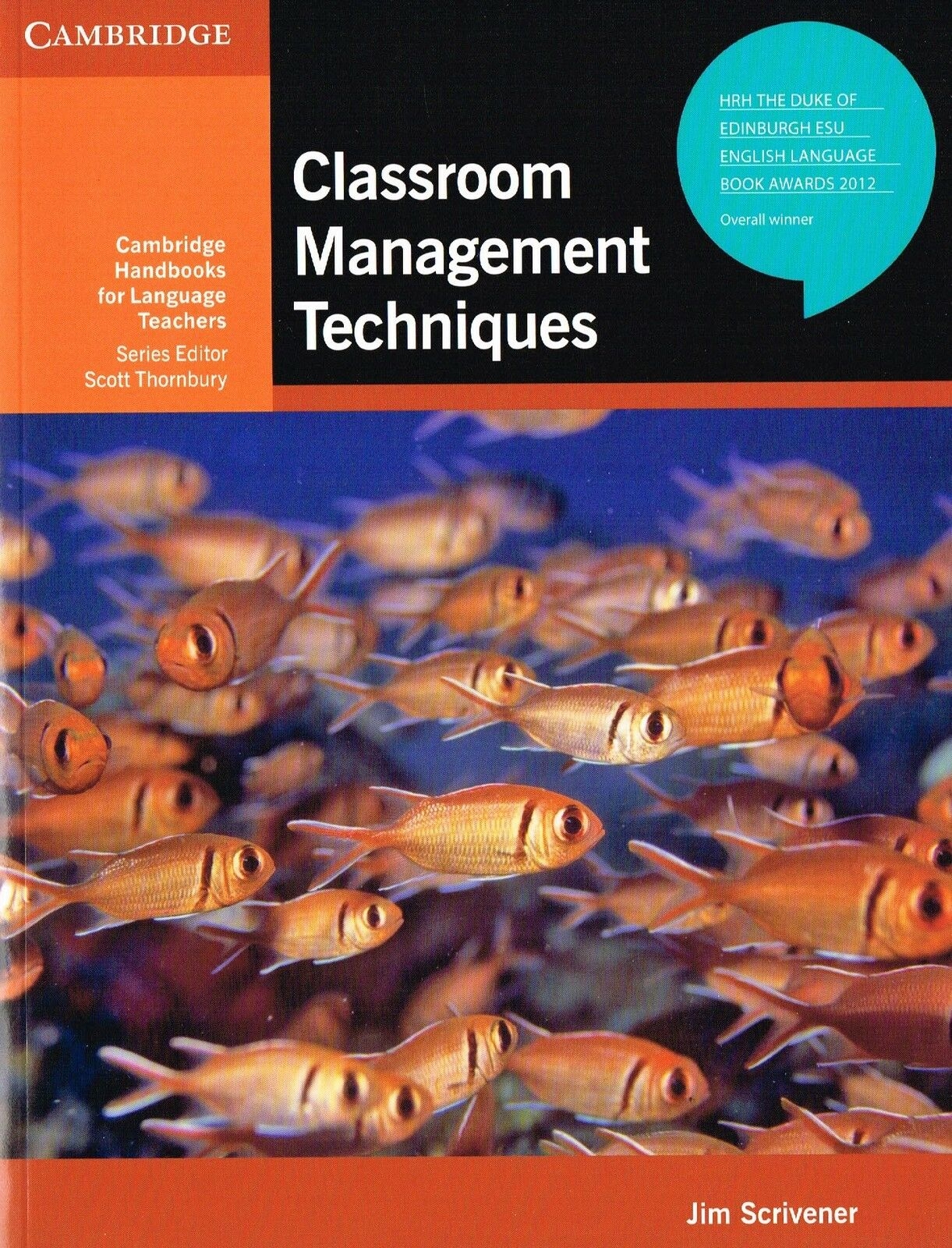 

Книга Classroom Management Techniques