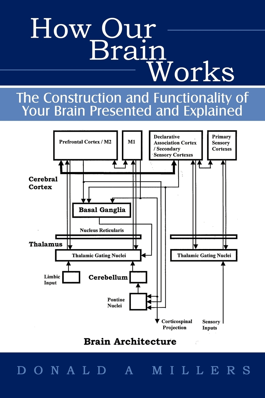 

How Our Brain Works