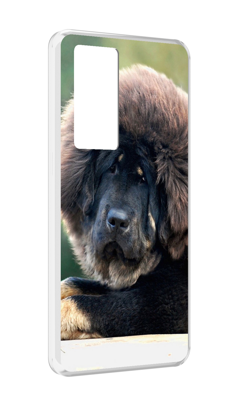

Чехол MyPads тибетскии мастиф для Realme GT Master Explorer Edition, Прозрачный, Tocco