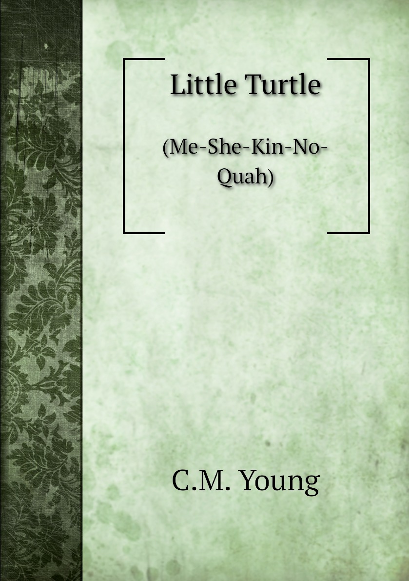 

Little Turtle
