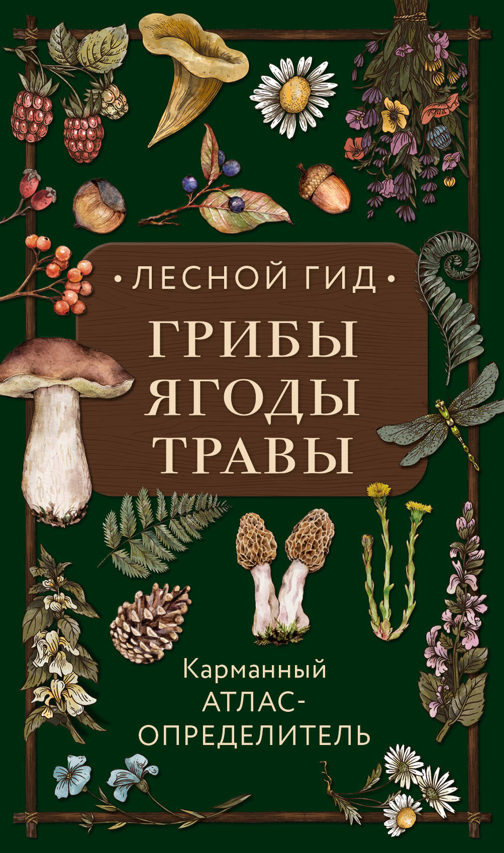 

Лесной гид: грибы, ягоды, травы. Карманный атлас-определитель