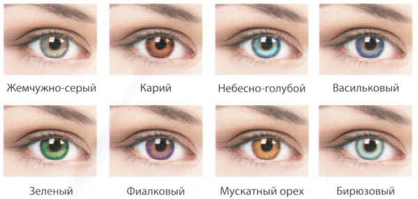 

Цветные линзы ОфтальмиксButterfly 3Tone -6.5, 8.6 grey, Серые