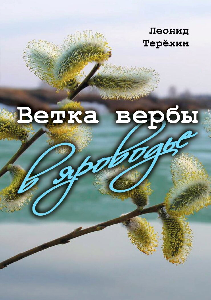 

Ветка вербы в яроводье