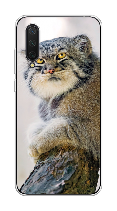 

Чехол на Xiaomi Mi CC9/Mi A3 Lite/Mi 9 Lite "Кот манул 1", Серый;белый;желтый, 36150-1