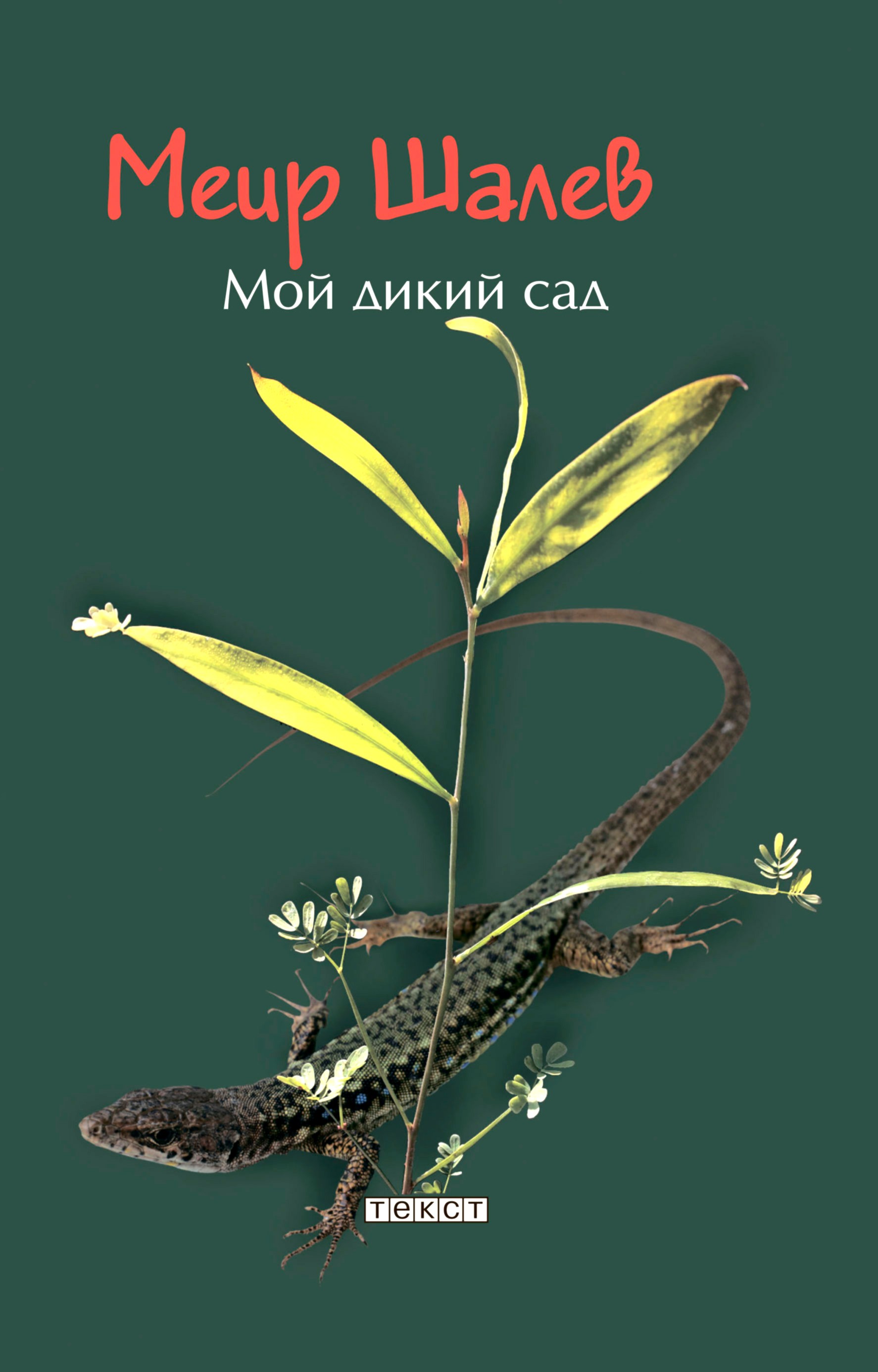 

Мой дикий сад