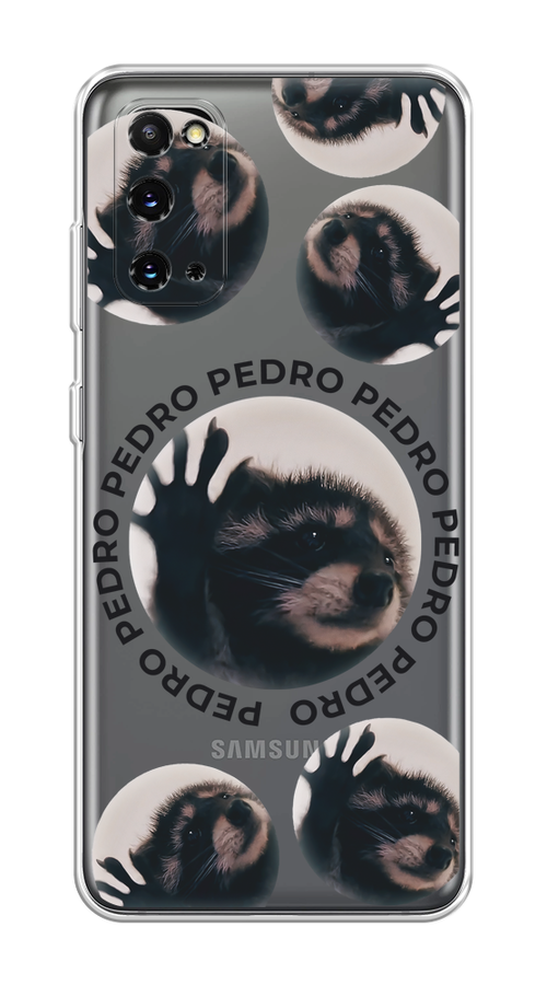 

Чехол на Samsung Galaxy S20 "Pedro енот", Черный;бежевый;прозрачный, 29250-1