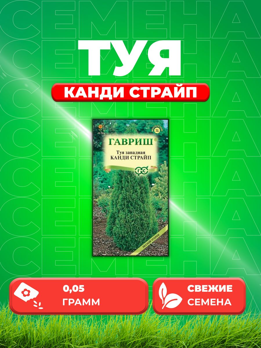 

Семена Туя западная Канди Страйп 0,05 г