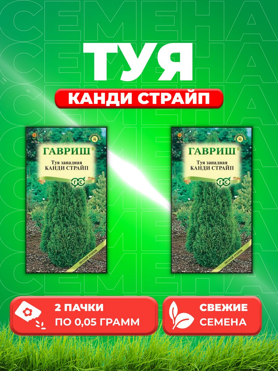 

Семена Туя западная Канди Страйп 0,05 г2уп