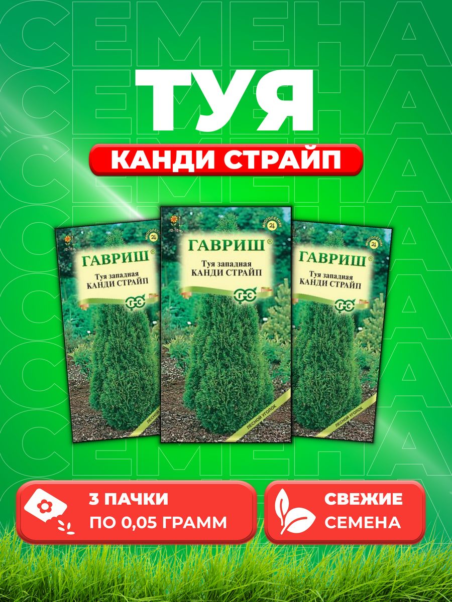 

Семена Туя западная Канди Страйп 0,05 г3уп
