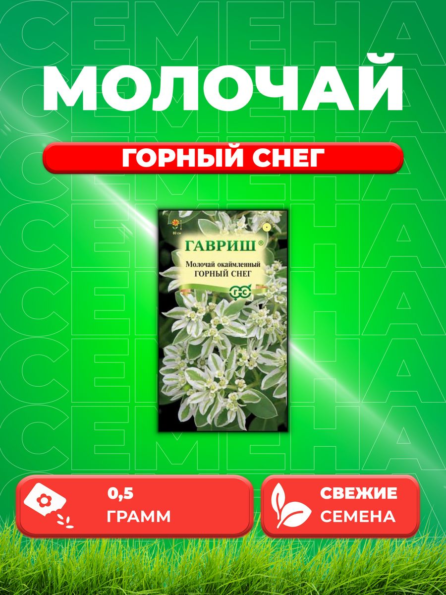

Семена Молочай окаймленный Горный снег, 0,5г, Гавриш,