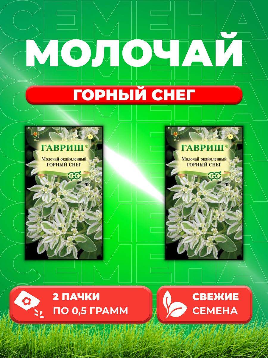

Семена Молочай окаймленный Горный снег, 0,5г, Гавриш, 2уп