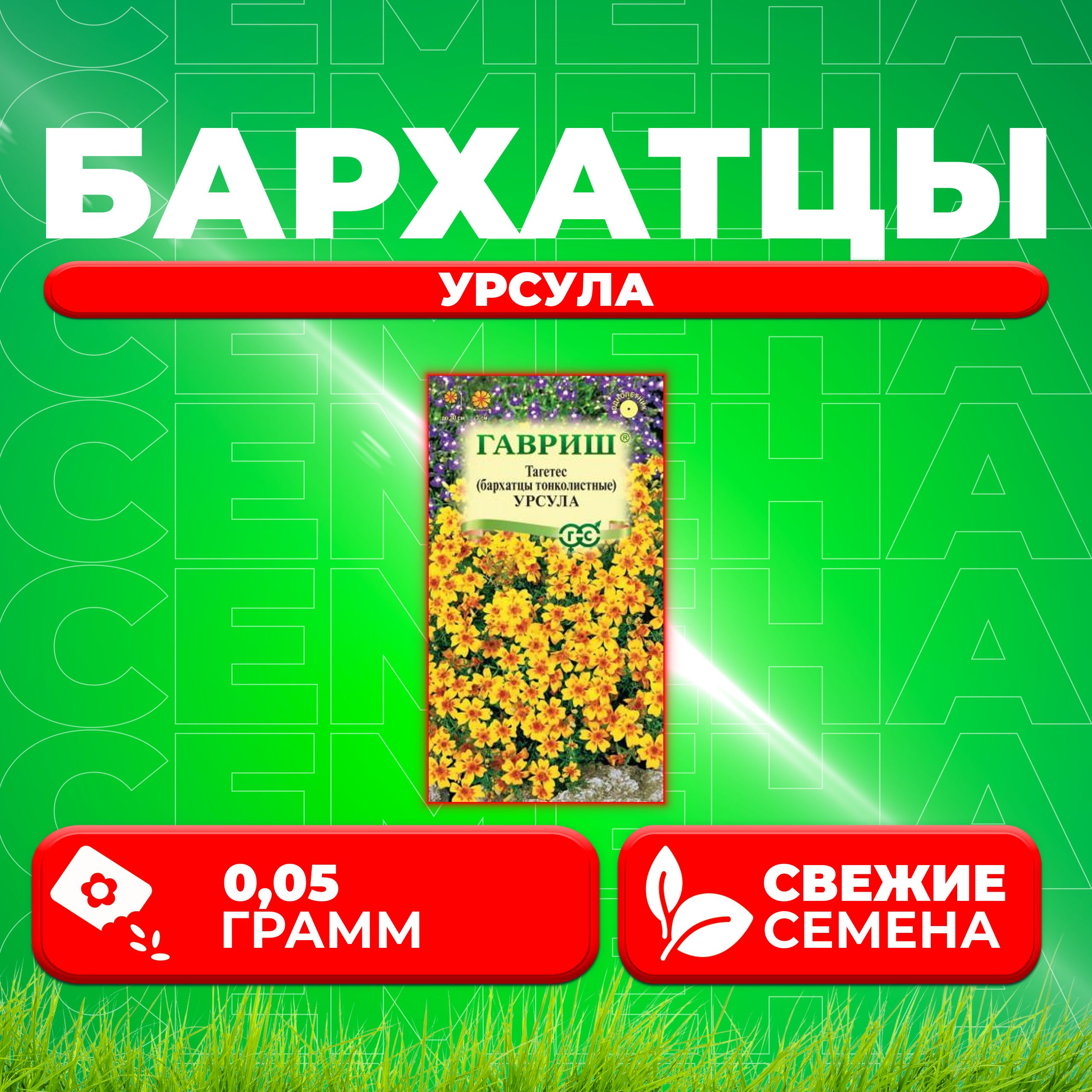 

Семена Бархатцы тонколистные тагетес Урсула, 0,05г, Гавриш, Цветочная коллекция 1 уп