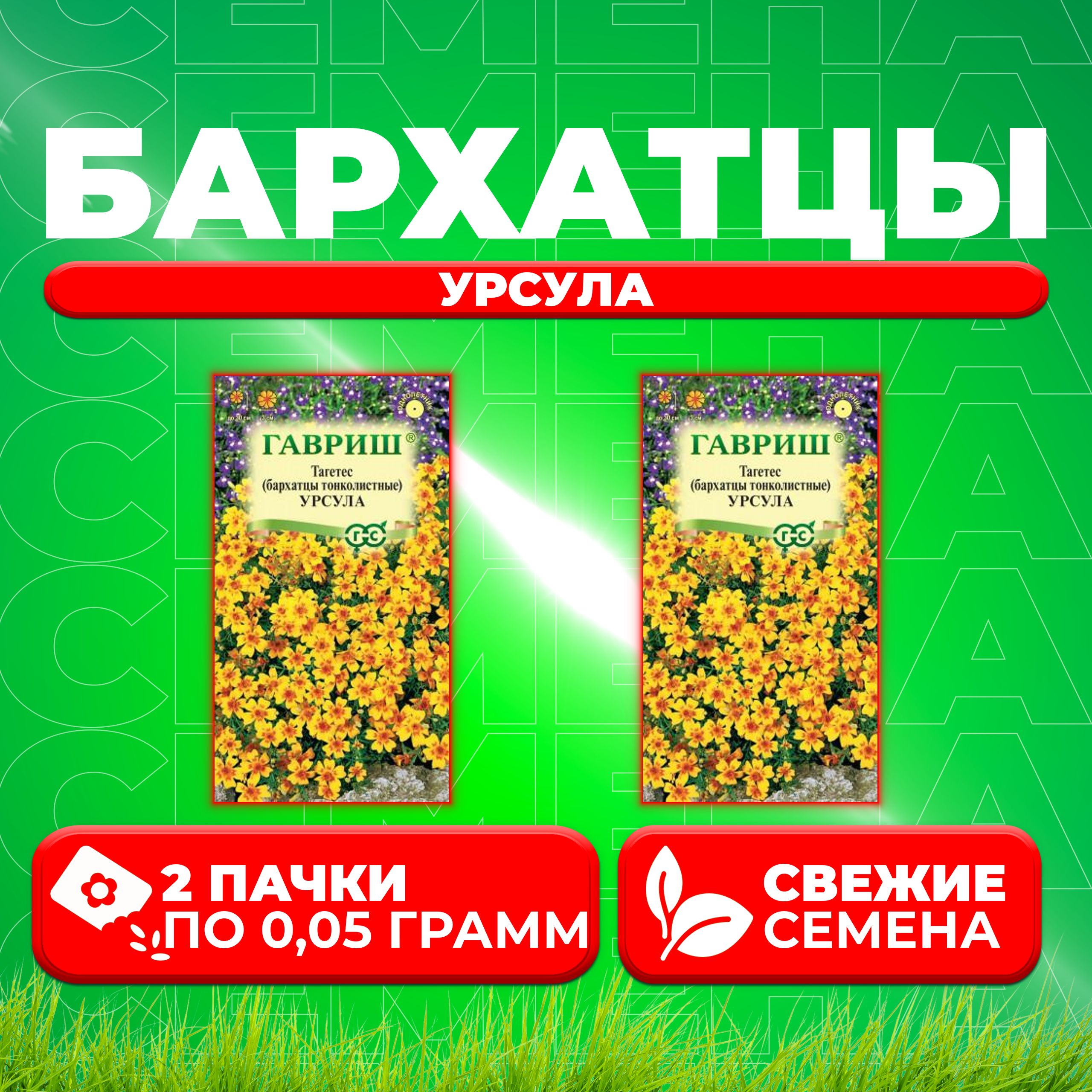 

Семена Бархатцы тонколистные тагетес Урсула, 0,05г, Гавриш, Цветочная коллекция 2 уп