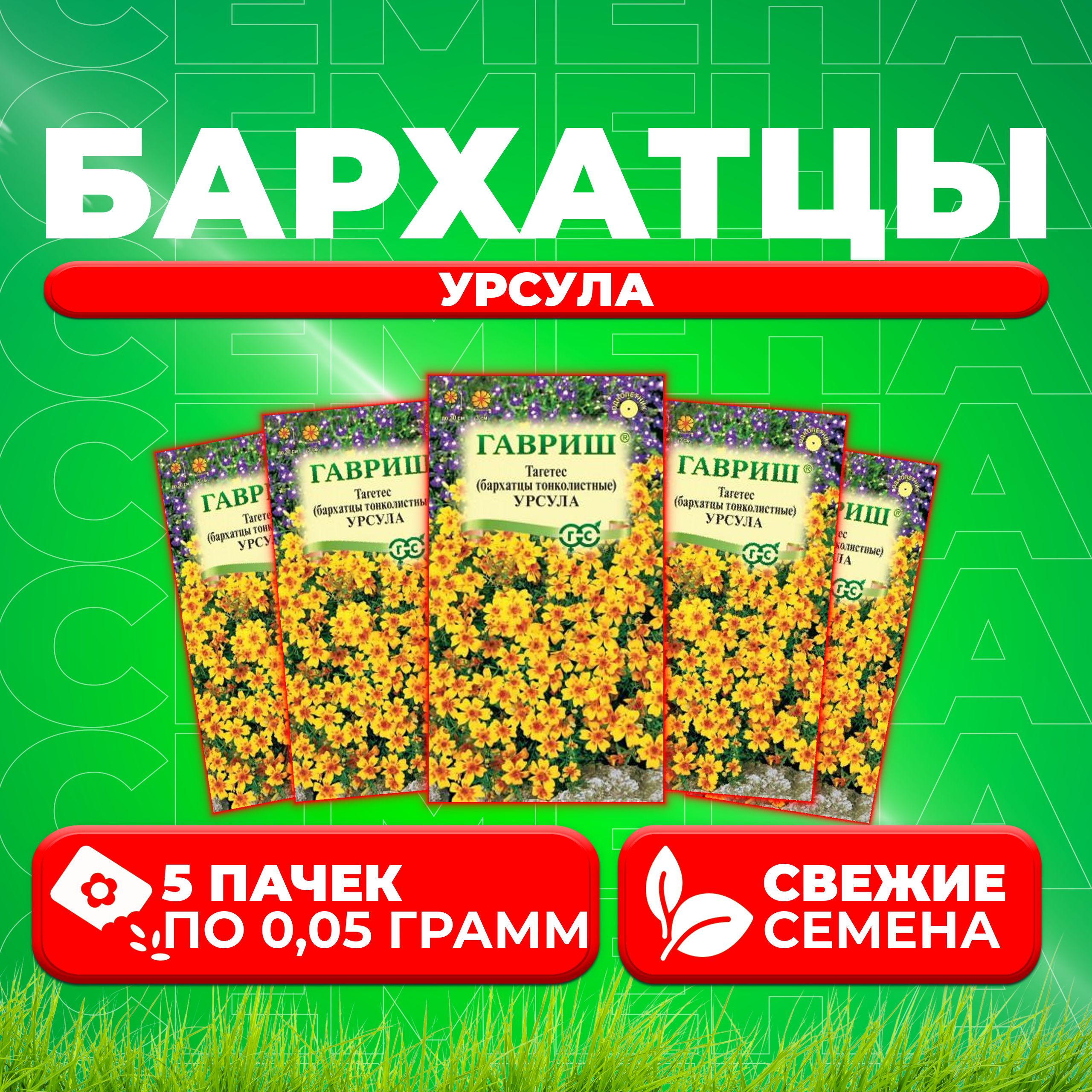 

Семена Бархатцы тонколистные тагетес Урсула, 0,05г, Гавриш, Цветочная коллекция 5 уп