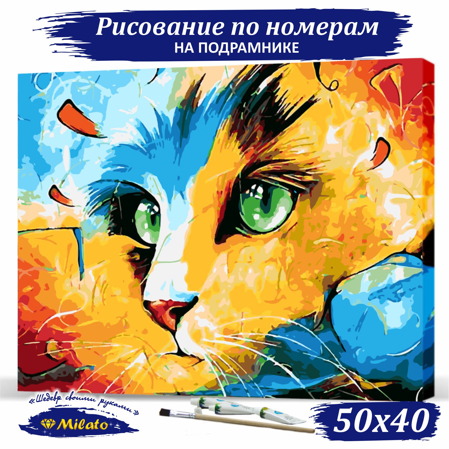 Картина по номерам Milato Цветной кот RP5-043 40х50см