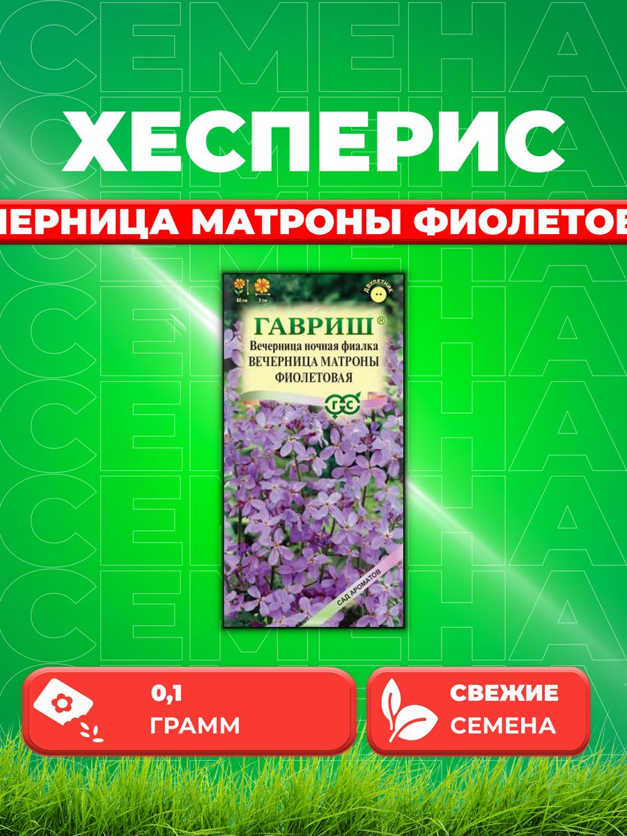 

Семена Хесперис Вечерница Вечерница Матроны фиолетовая 0,1г