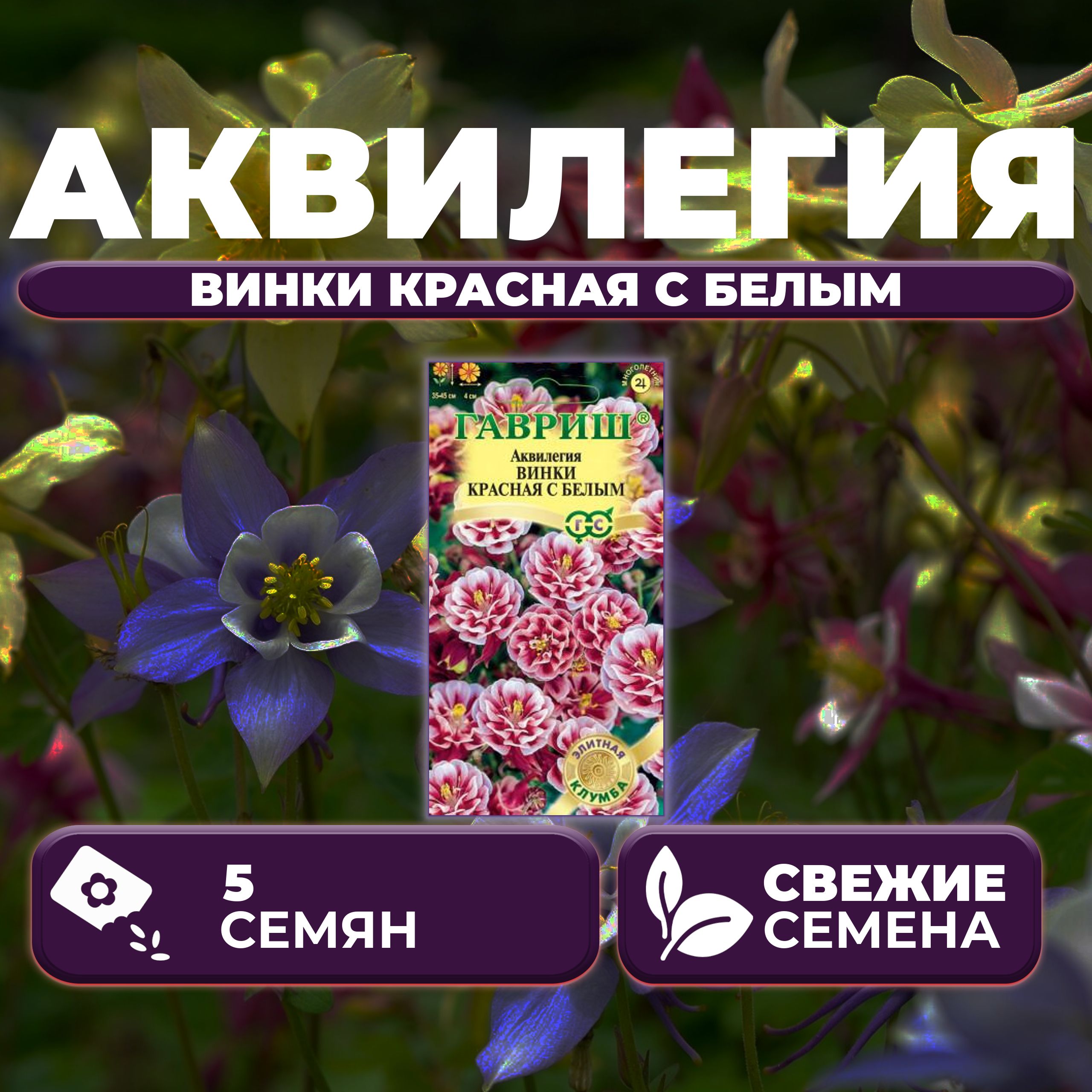 

Семена Аквилегия Винки красная с белым, 5шт, Гавриш, Элитная клумба 1 уп