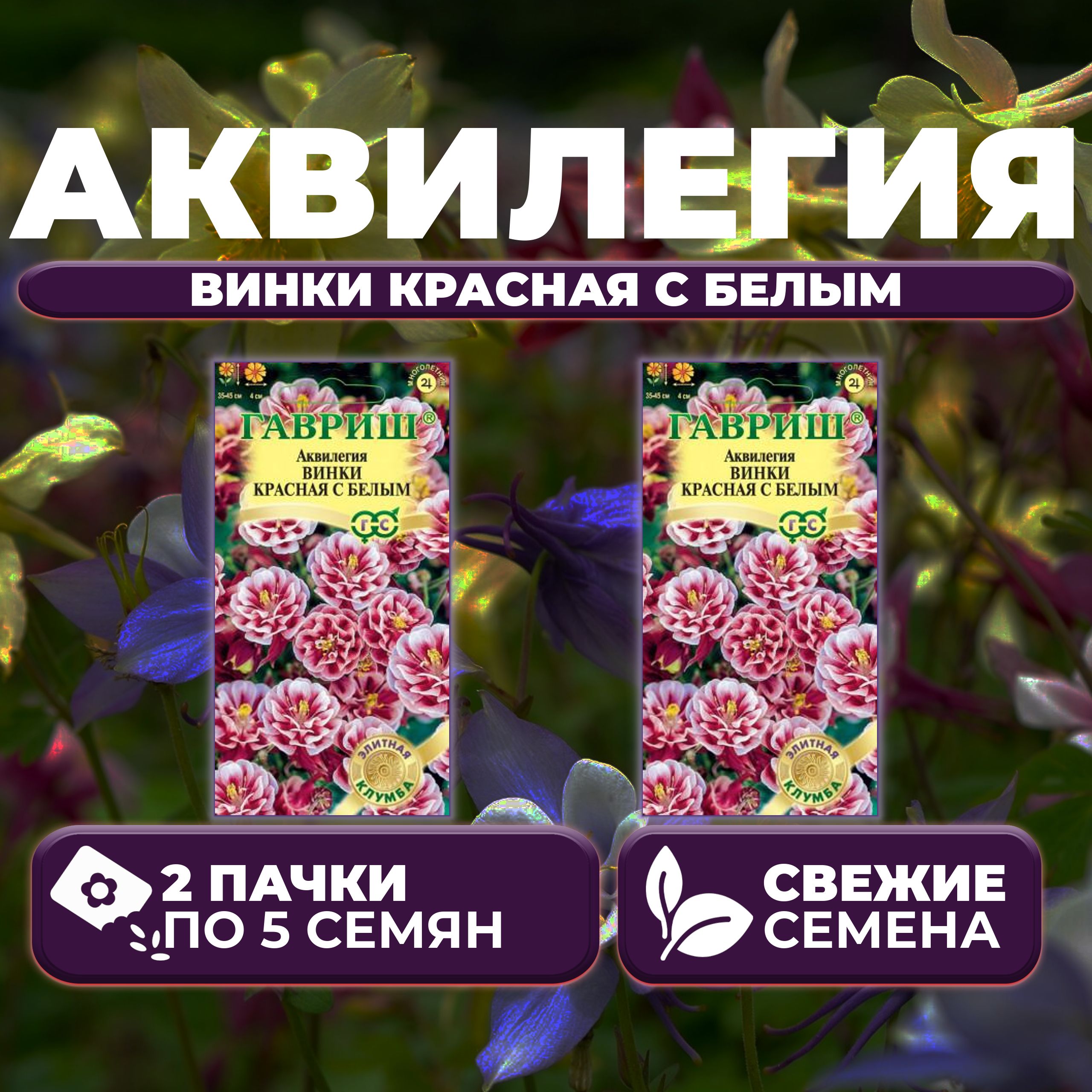 

Семена Аквилегия Винки красная с белым, 5шт, Гавриш, Элитная клумба 2 уп