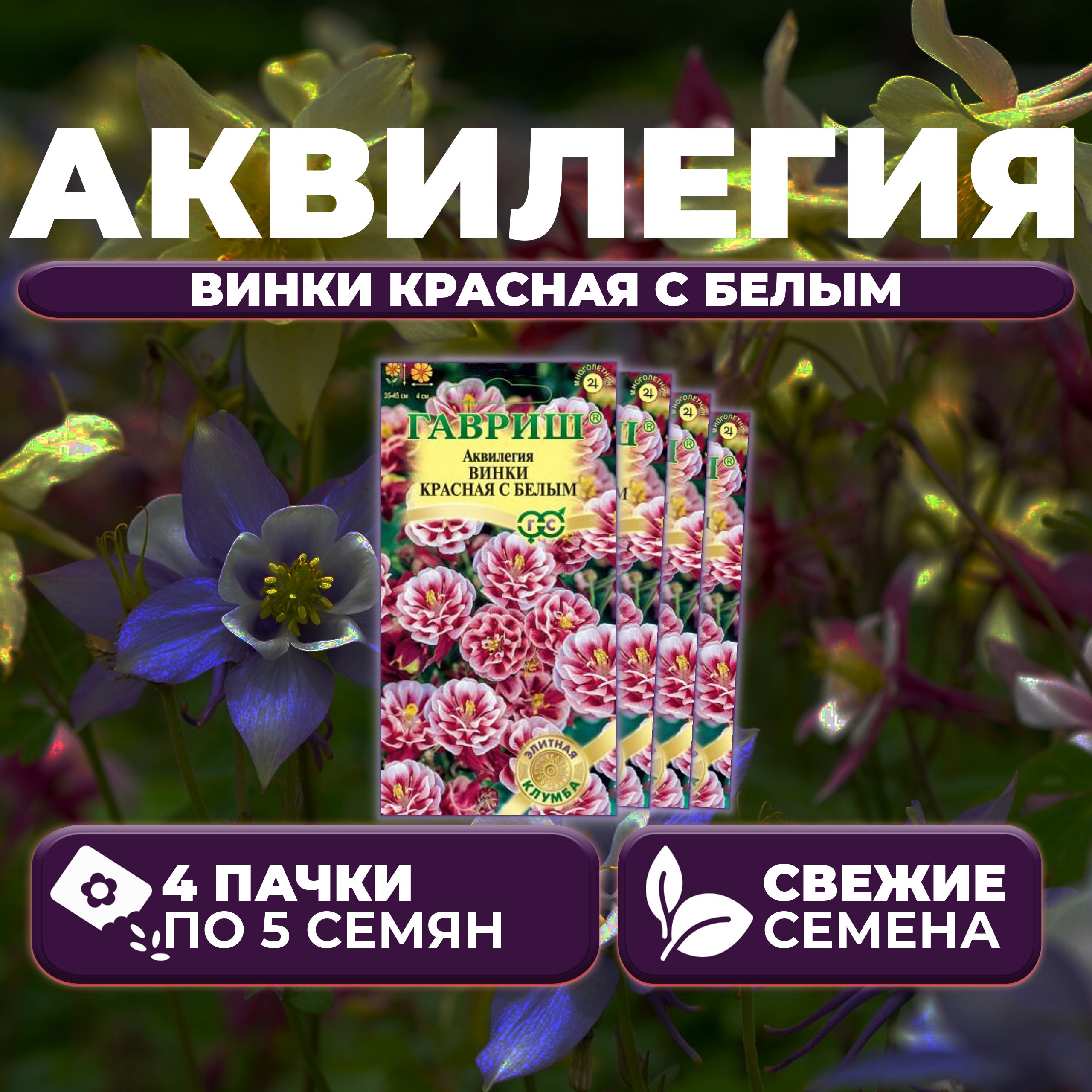 

Семена Аквилегия Винки красная с белым, 5шт, Гавриш, Элитная клумба 4 уп