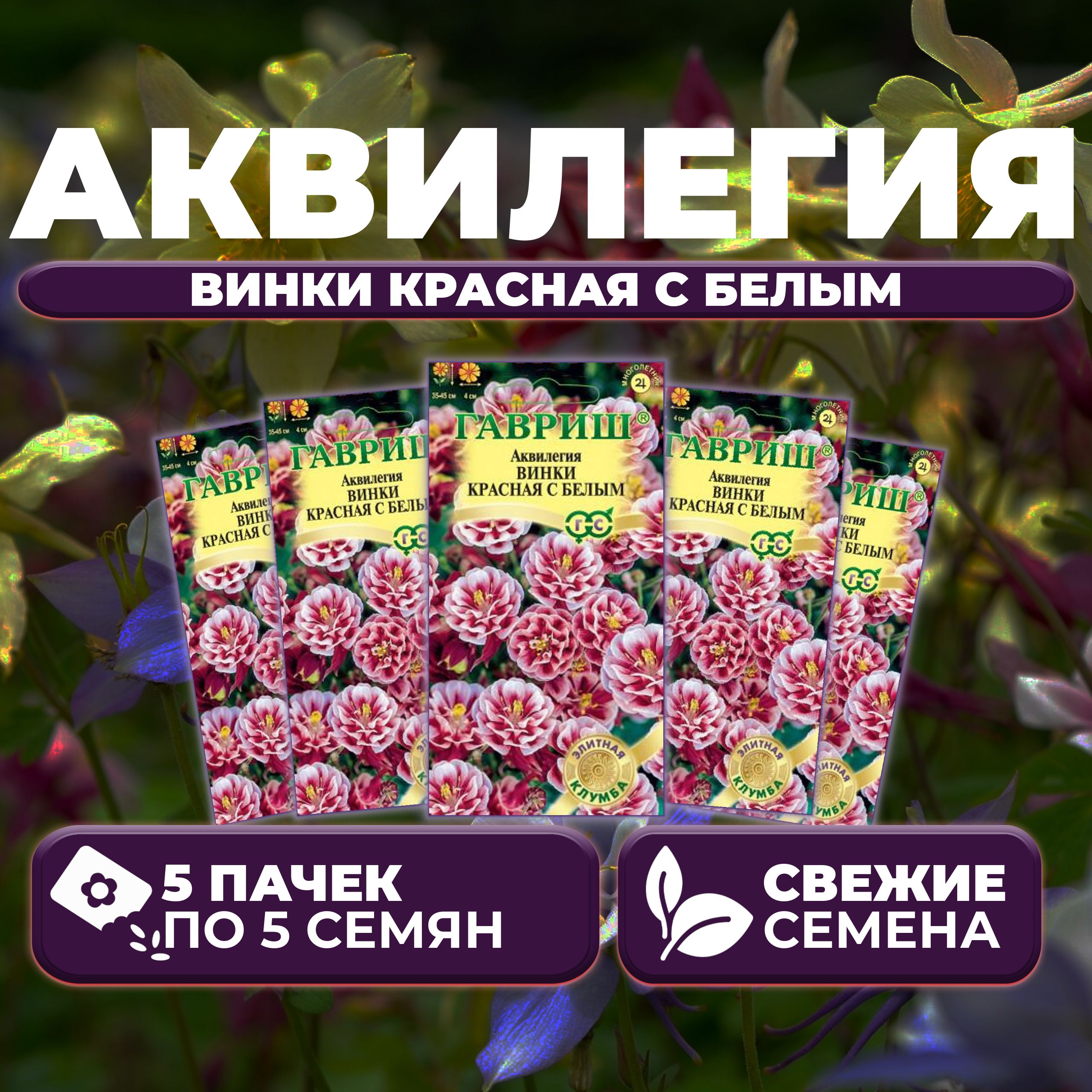 

Семена Аквилегия Винки красная с белым, 5шт, Гавриш, Элитная клумба 5 уп
