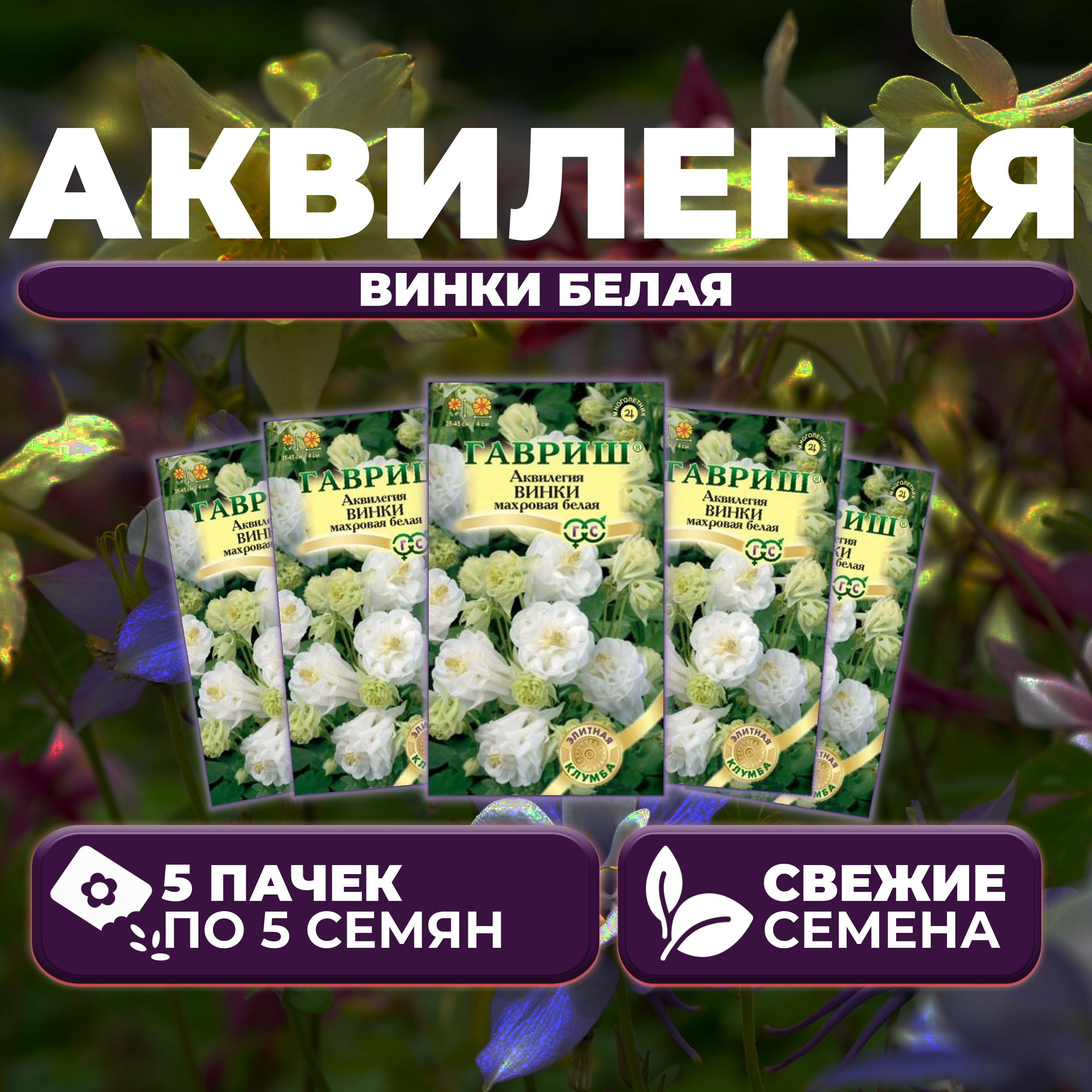 

Семена Аквилегия Винки белая, 5шт, Гавриш, Элитная клумба 5 уп