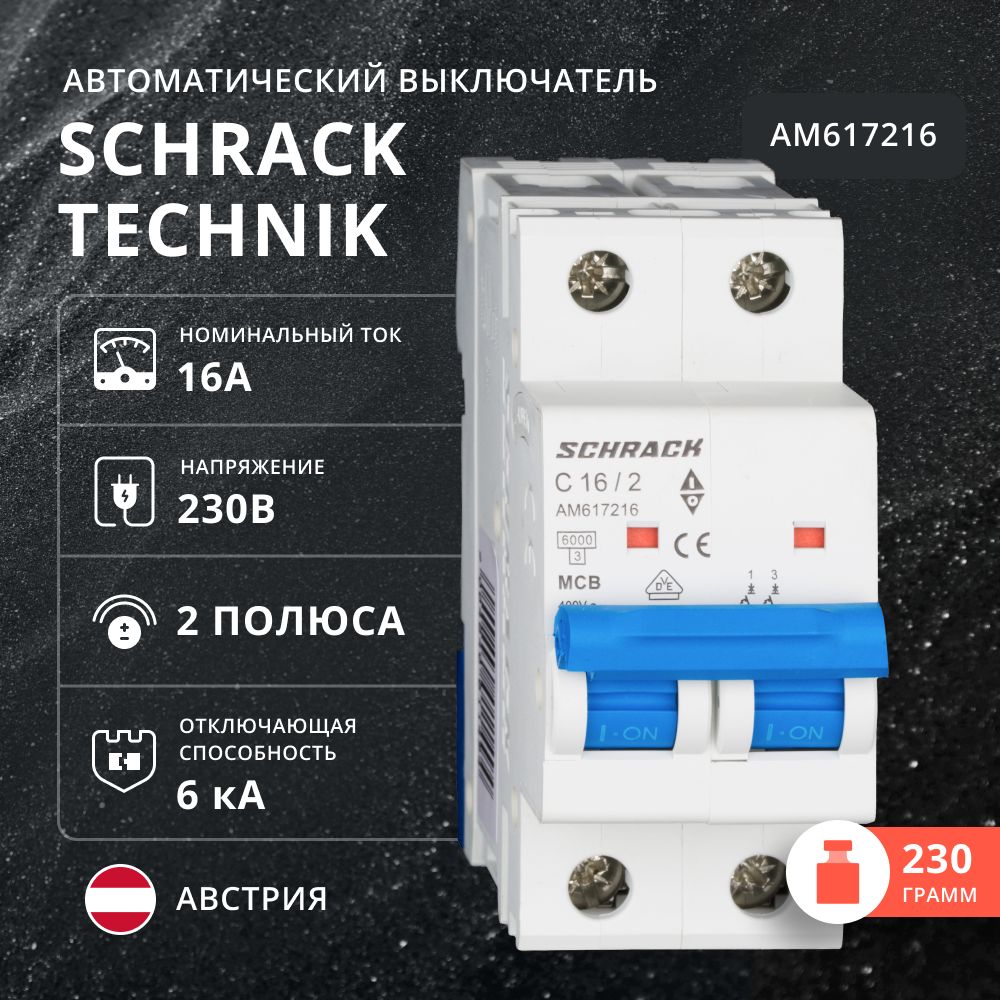 Автоматический выключатель Schrack 6kA 2 полюса C 16A AM617216 1289₽