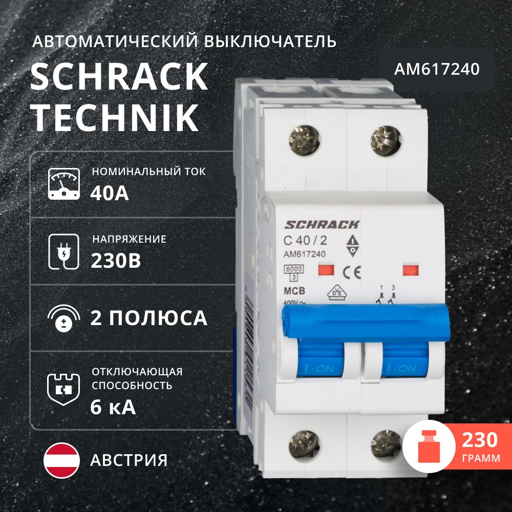 Автоматический выключатель Schrack 6кА 2 полюса С 40A AM617240 1399₽